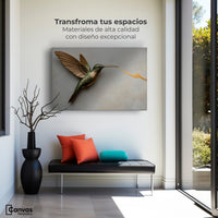 Cuadros Decorativos Canvas Revolution | Colibri Fuerza Luz | Montaje1