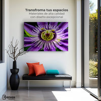 Cuadros Decorativos Canvas Revolution | Flor Pasion Eterna | Montaje1