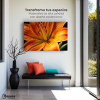 Cuadros Decorativos Canvas Revolution | Llama Lirio Macro | Montaje1