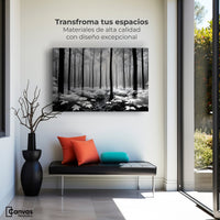 Cuadros Decorativos Canvas Revolution | Misterio En Bosque | Montaje1