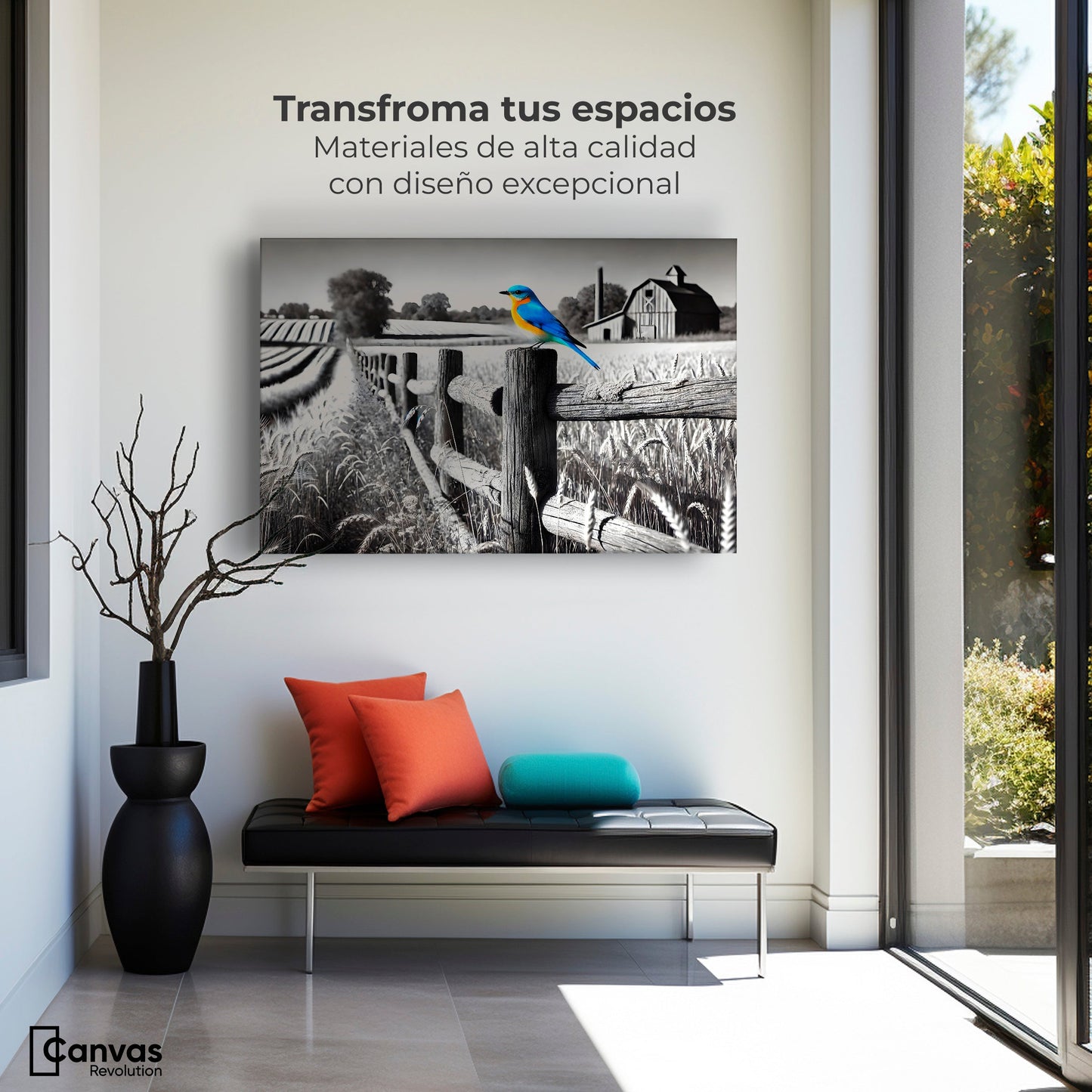 Cuadros Decorativos Canvas Revolution | Pajaro En Reposo | Montaje1