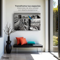 Cuadros Decorativos Canvas Revolution | Pajaro En Reposo | Montaje1