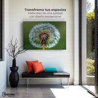 Cuadros Decorativos Canvas Revolution | Sueno En Vuelo | Montaje1