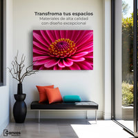 Cuadros Decorativos Canvas Revolution | Zinnia Magia Rosa | Montaje1