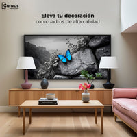 Cuadros Decorativos Canvas Revolution | Alas De Zafiro | Montaje2