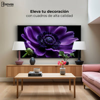 Cuadros Decorativos Canvas Revolution | Anemona Violeta | Montaje2