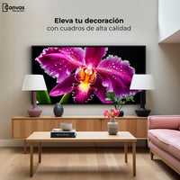 Cuadros Decorativos Canvas Revolution | Brillo De Cattleya | Montaje2