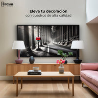 Cuadros Decorativos Canvas Revolution | Carta Al Viento | Montaje2
