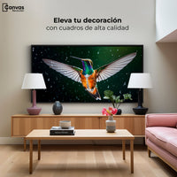 Cuadros Decorativos Canvas Revolution | Colibri Nocturno | Montaje2