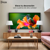 Cuadros Decorativos Canvas Revolution | Colibri Serenidad | Montaje2
