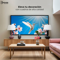 Cuadros Decorativos Canvas Revolution | Colibri Y Sol | Montaje2