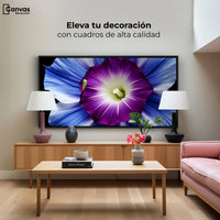 Cuadros Decorativos Canvas Revolution | Fulgor De La Manana | Montaje2