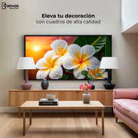 Cuadros Decorativos Canvas Revolution | Plumeria Luz Serena | Montaje2