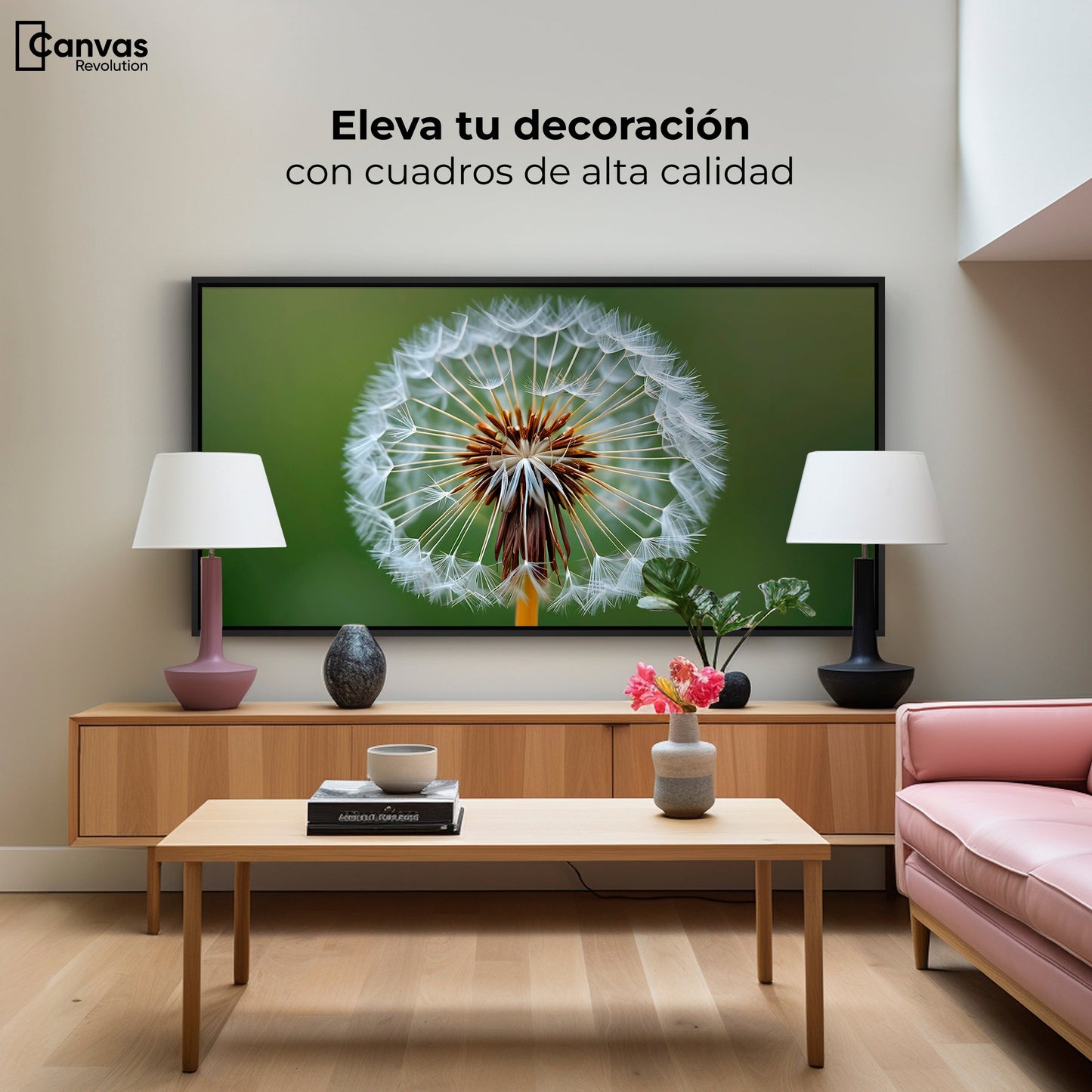 Cuadros Decorativos Canvas Revolution | Sueno En Vuelo | Montaje2