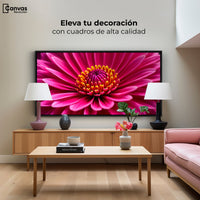 Cuadros Decorativos Canvas Revolution | Zinnia Magia Rosa | Montaje2