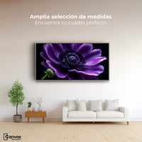 Cuadros Decorativos Canvas Revolution | Anemona Violeta | Montaje3
