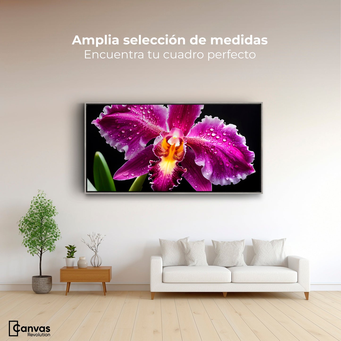 Cuadros Decorativos Canvas Revolution | Brillo De Cattleya | Montaje3