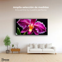 Cuadros Decorativos Canvas Revolution | Brillo De Cattleya | Montaje3
