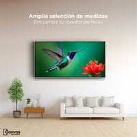 Cuadros Decorativos Canvas Revolution | Colibri En Rocio | Montaje3