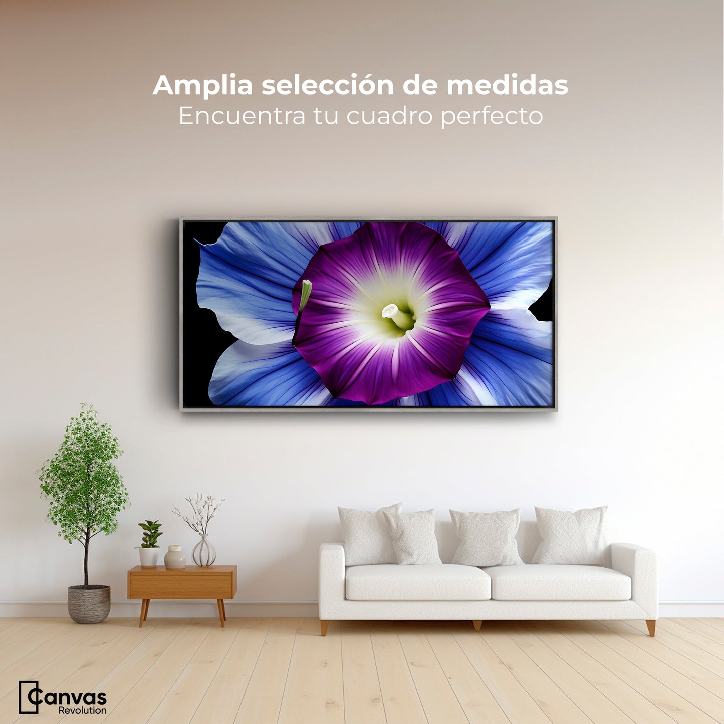 Cuadros Decorativos Canvas Revolution | Fulgor De La Manana | Montaje3