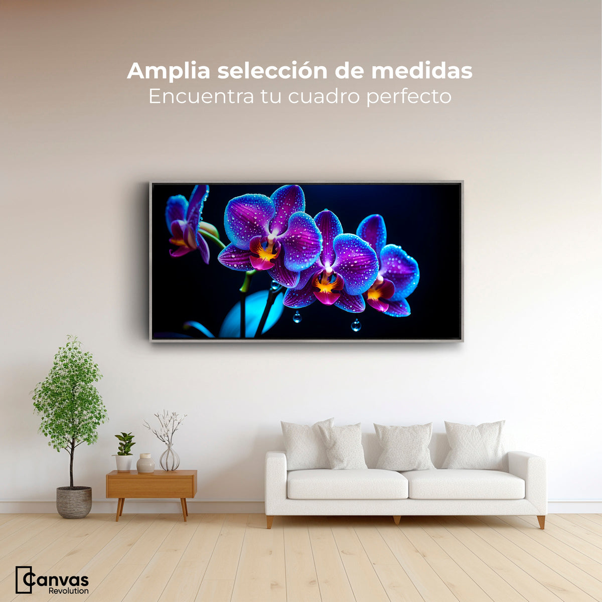 Cuadros Decorativos Canvas Revolution | Orquidea Destello | Montaje3