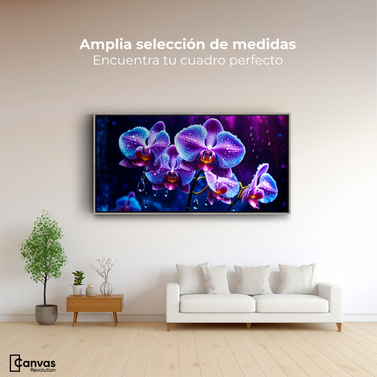 Cuadros Decorativos Canvas Revolution | Orquidea Luz Sutil | Montaje3