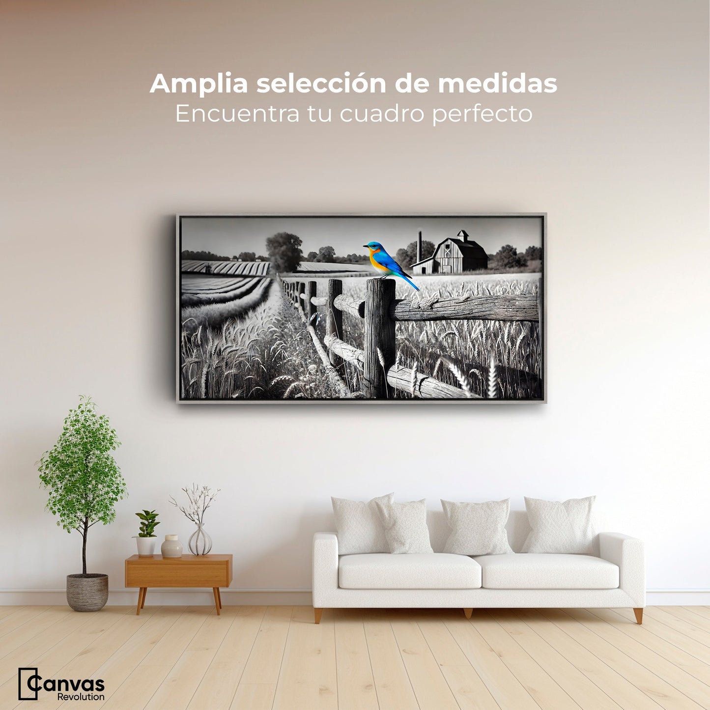 Cuadros Decorativos Canvas Revolution | Pajaro En Reposo | Montaje3