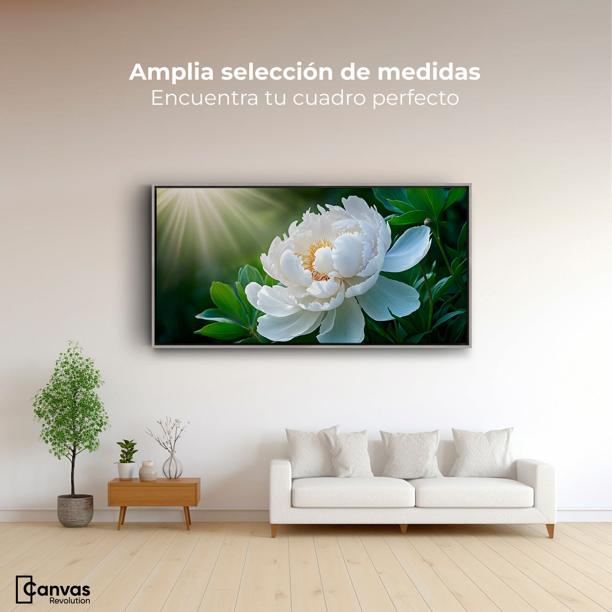 Cuadros Decorativos Canvas Revolution | Rayos De Peonia | Montaje3