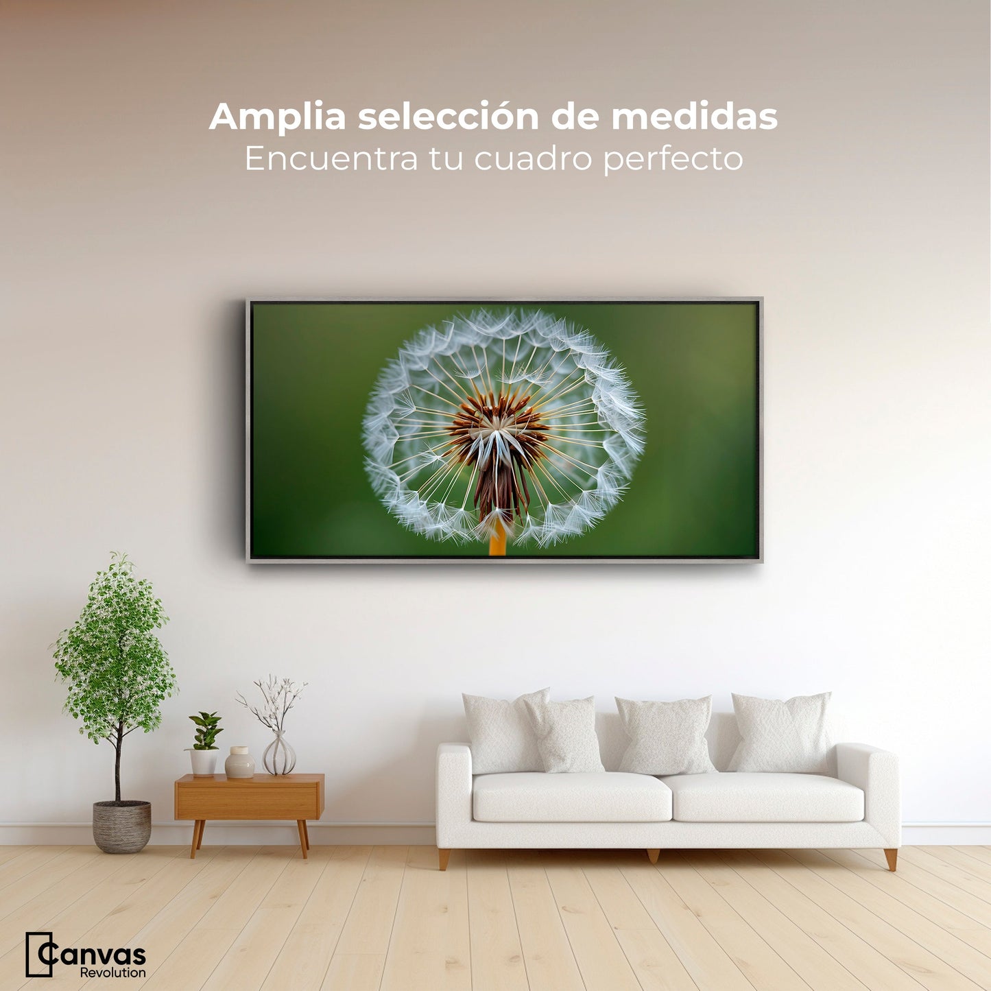 Cuadros Decorativos Canvas Revolution | Sueno En Vuelo | Montaje3