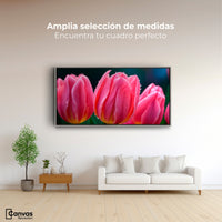 Cuadros Decorativos Canvas Revolution | Tulipanes Rosa Vivo | Montaje3