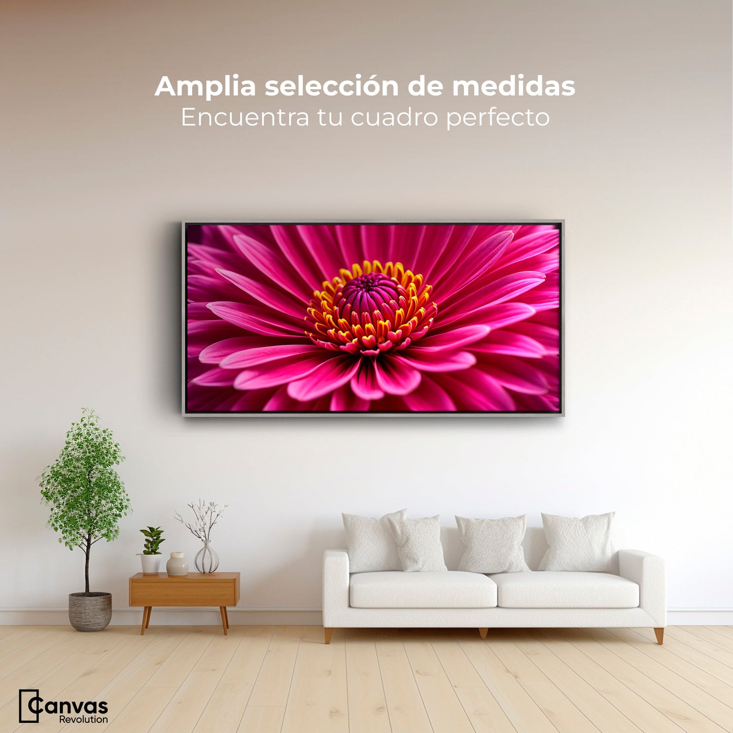 Cuadros Decorativos Canvas Revolution | Zinnia Magia Rosa | Montaje3