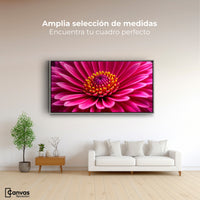 Cuadros Decorativos Canvas Revolution | Zinnia Magia Rosa | Montaje3