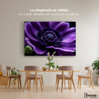 Cuadros Decorativos Canvas Revolution | Anemona Violeta | Montaje4