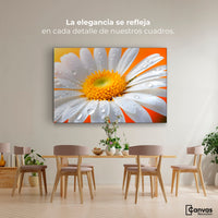 Cuadros Decorativos Canvas Revolution | Aura De Margarita | Montaje4