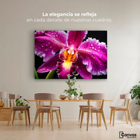 Cuadros Decorativos Canvas Revolution | Brillo De Cattleya | Montaje4