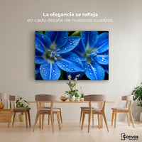 Cuadros Decorativos Canvas Revolution | Delphinium Azul | Montaje4