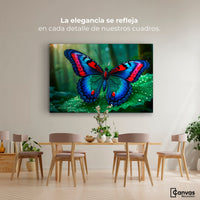 Cuadros Decorativos Canvas Revolution | Mariposa De Selva | Montaje4