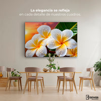 Cuadros Decorativos Canvas Revolution | Plumeria Luz Serena | Montaje4