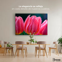 Cuadros Decorativos Canvas Revolution | Tulipanes Rosa Vivo | Montaje4