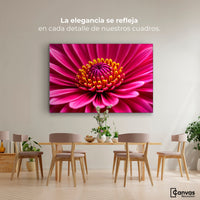 Cuadros Decorativos Canvas Revolution | Zinnia Magia Rosa | Montaje4