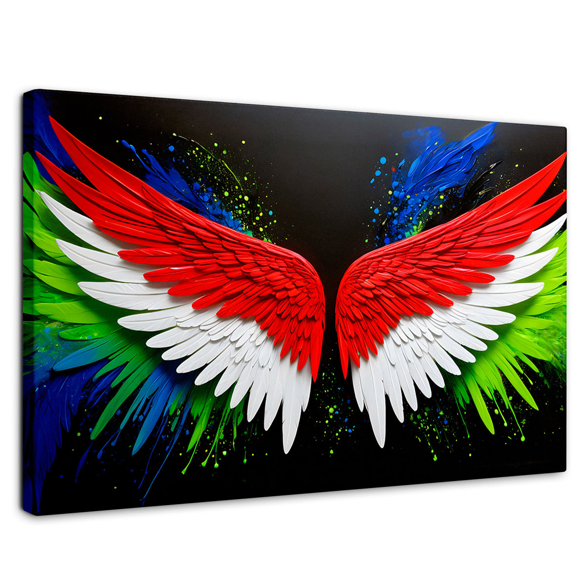 Cuadros Decorativos Canvas Revolution | Alas Angel Radiante | Rectangular | Portada | Marco SinMarco