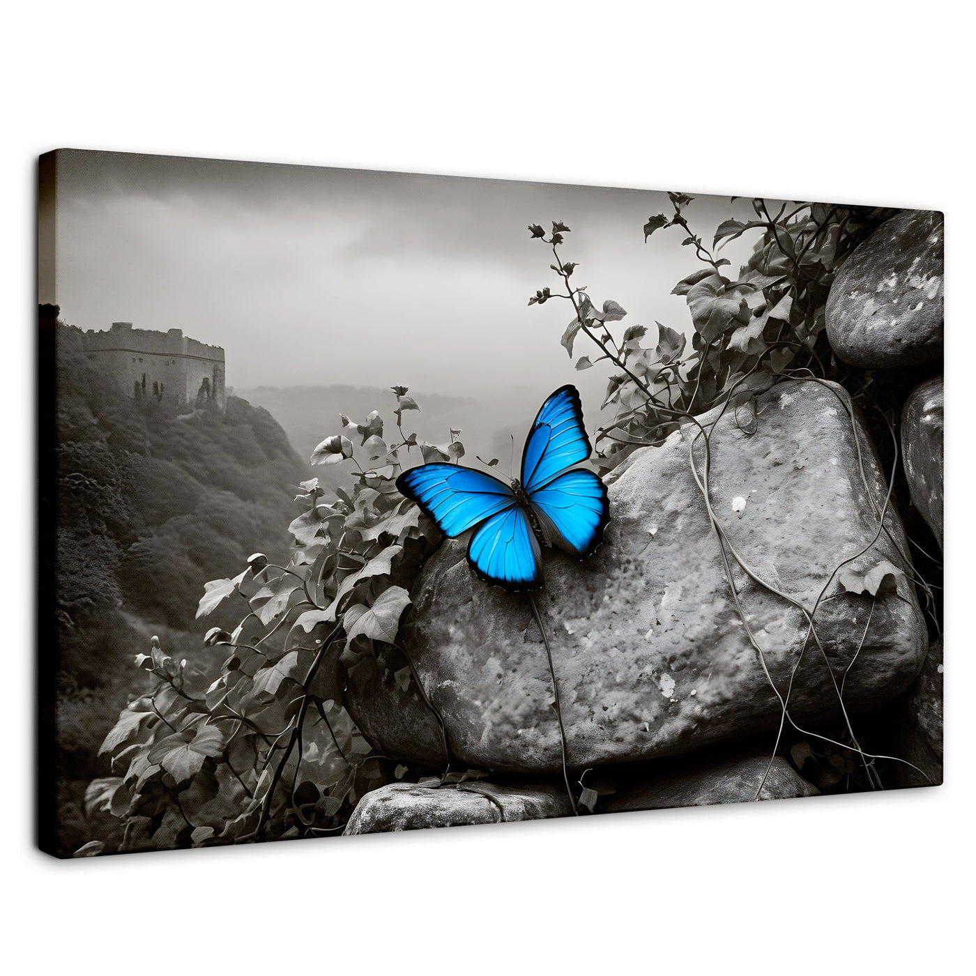 Cuadros Decorativos Canvas Revolution | Alas De Zafiro | Rectangular | Portada | Marco SinMarco