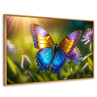 Cuadros Decorativos Canvas Revolution | Alas En El Sol | Rectangular | Portada | Marco Madera
