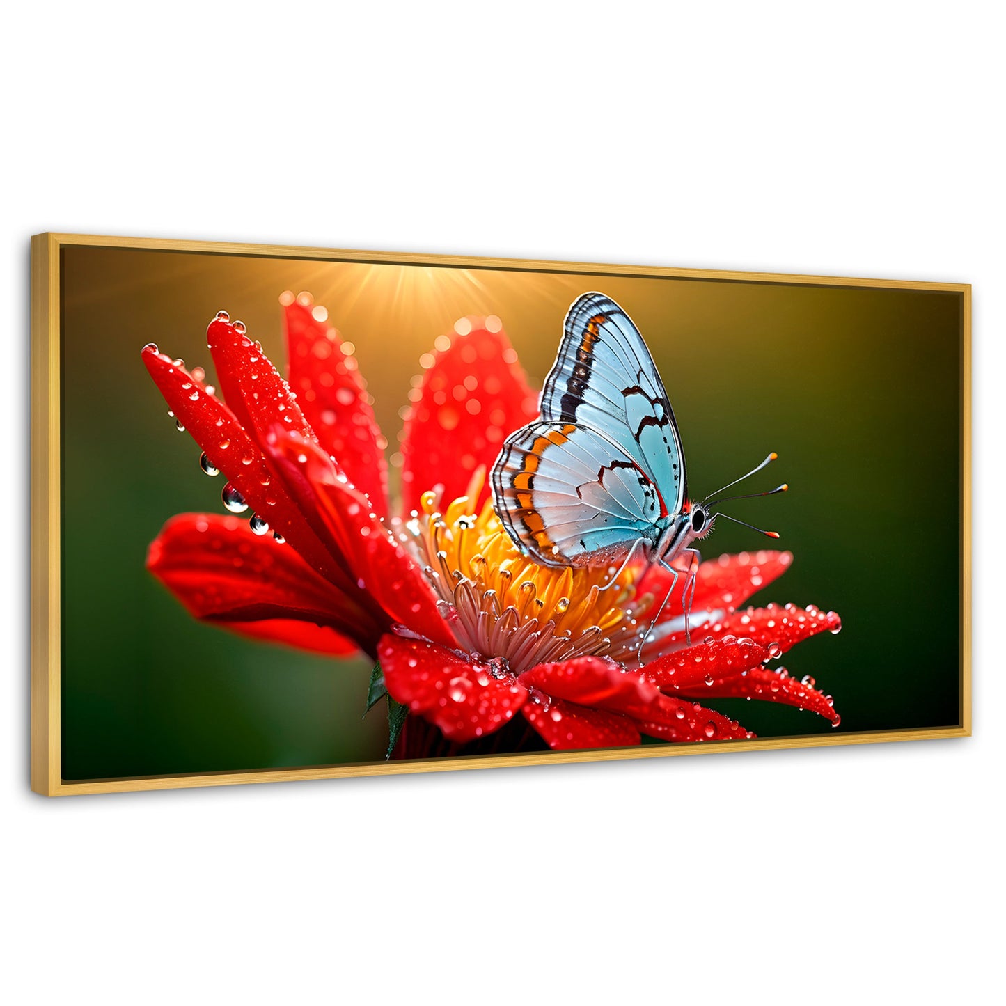 Cuadros Decorativos Canvas Revolution | Alas Sobre Flor | Panoramico | Portada | Marco Madera