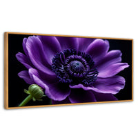 Cuadros Decorativos Canvas Revolution | Anemona Violeta | Panoramico | Portada | Marco Madera