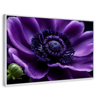 Cuadros Decorativos Canvas Revolution | Anemona Violeta | Rectangular | Portada | Marco Blanco