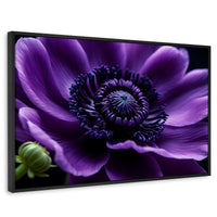 Cuadros Decorativos Canvas Revolution | Anemona Violeta | Rectangular | Portada | Marco Negro