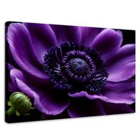 Cuadros Decorativos Canvas Revolution | Anemona Violeta | Rectangular | Portada | Marco SinMarco
