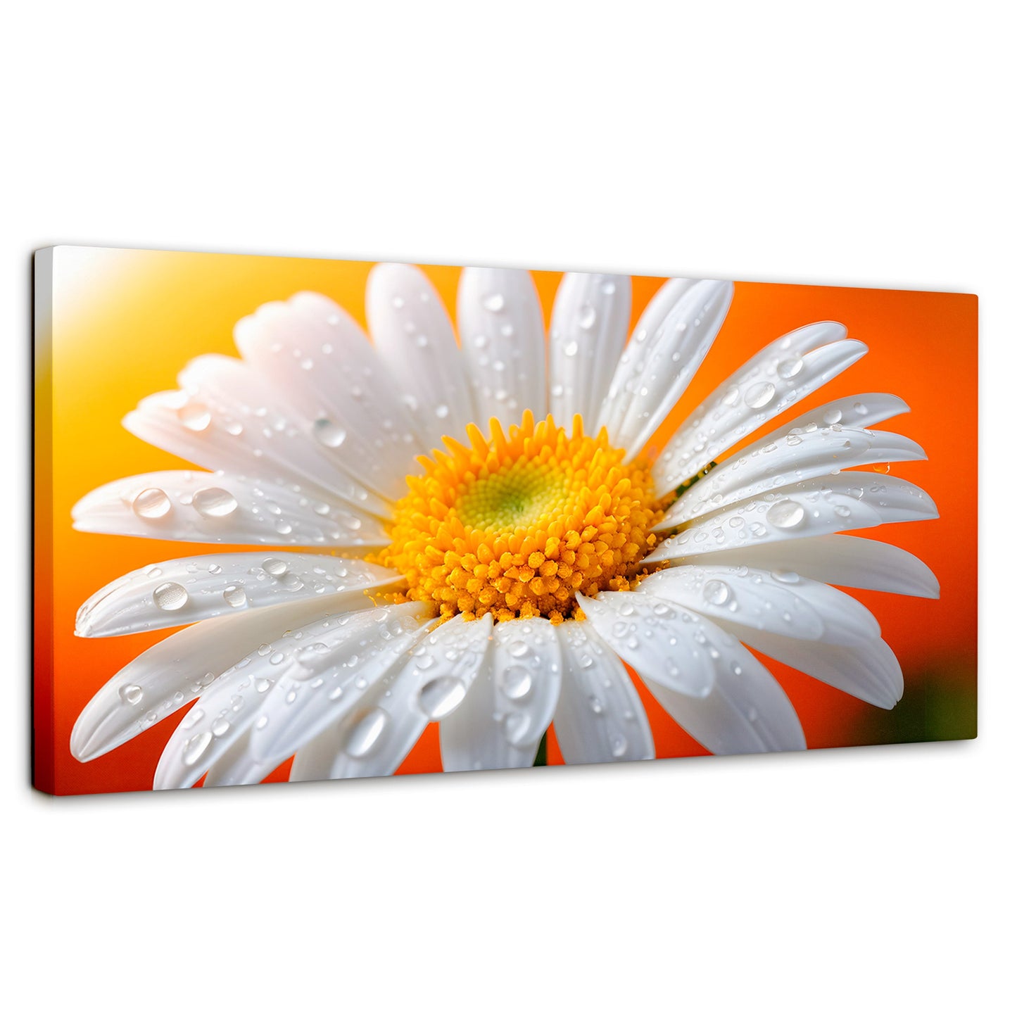 Cuadros Decorativos Canvas Revolution | Aura De Margarita | Panoramico | Portada | Marco SinMarco