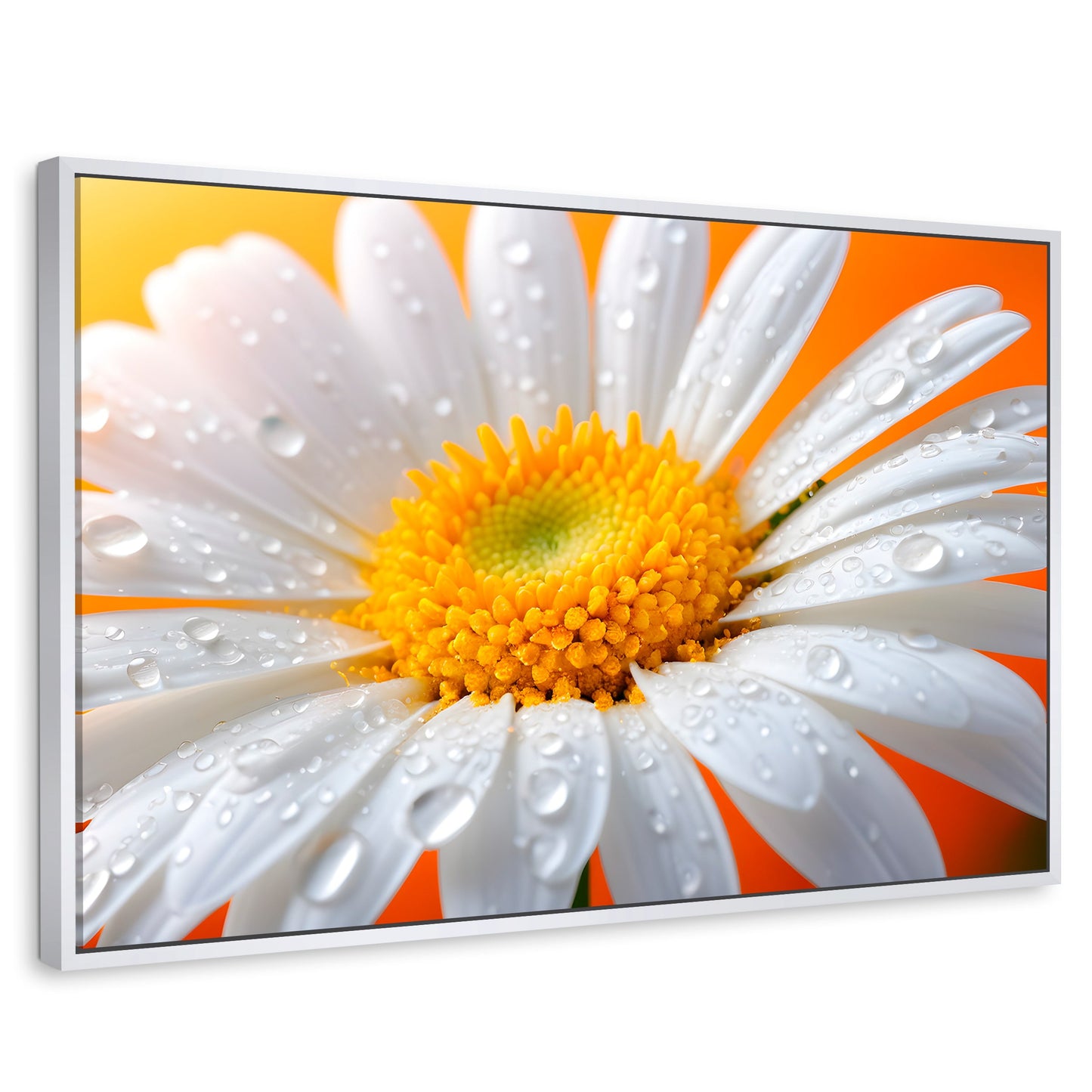 Cuadros Decorativos Canvas Revolution | Aura De Margarita | Rectangular | Portada | Marco Blanco